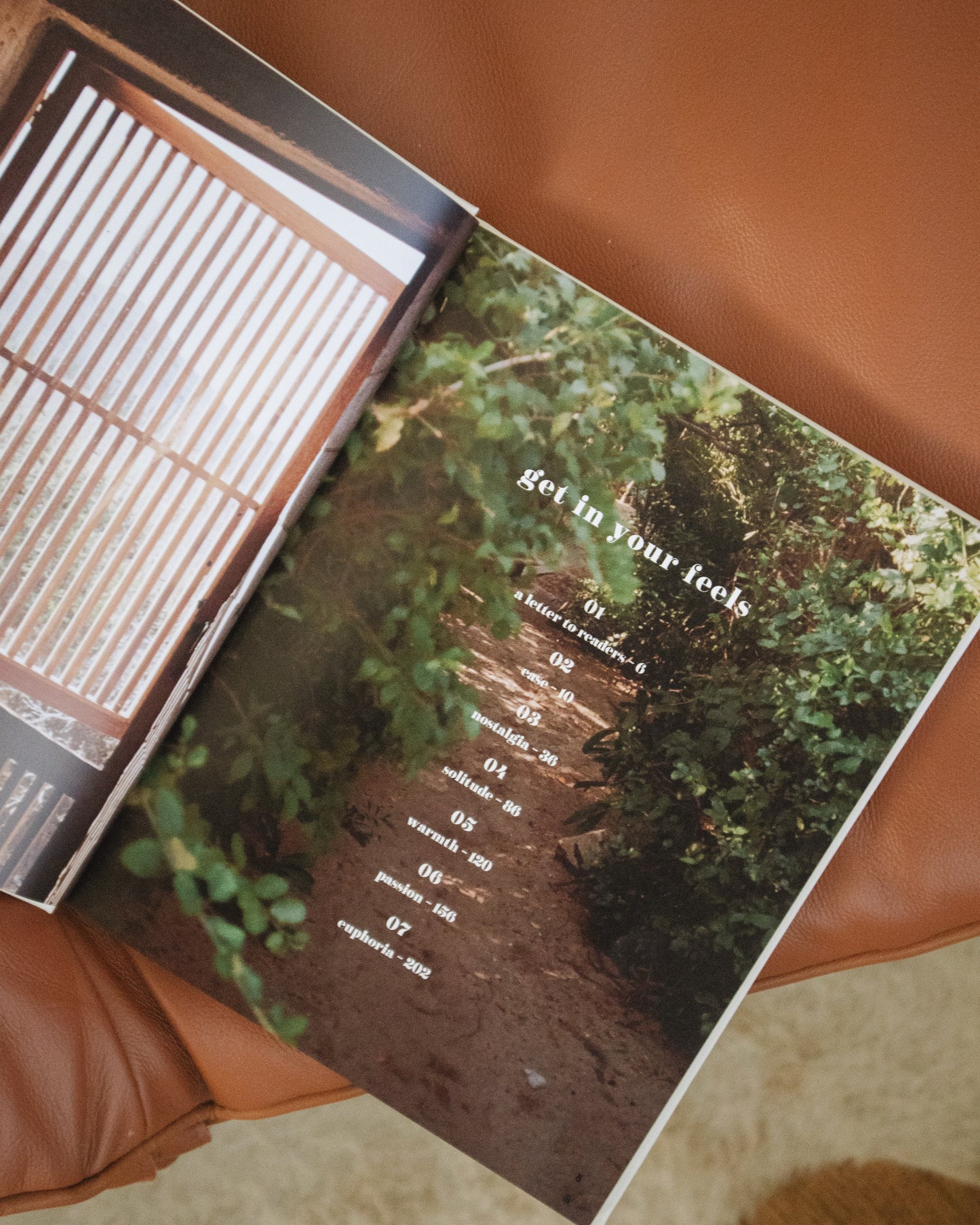 ease & other feels, a coffee table book